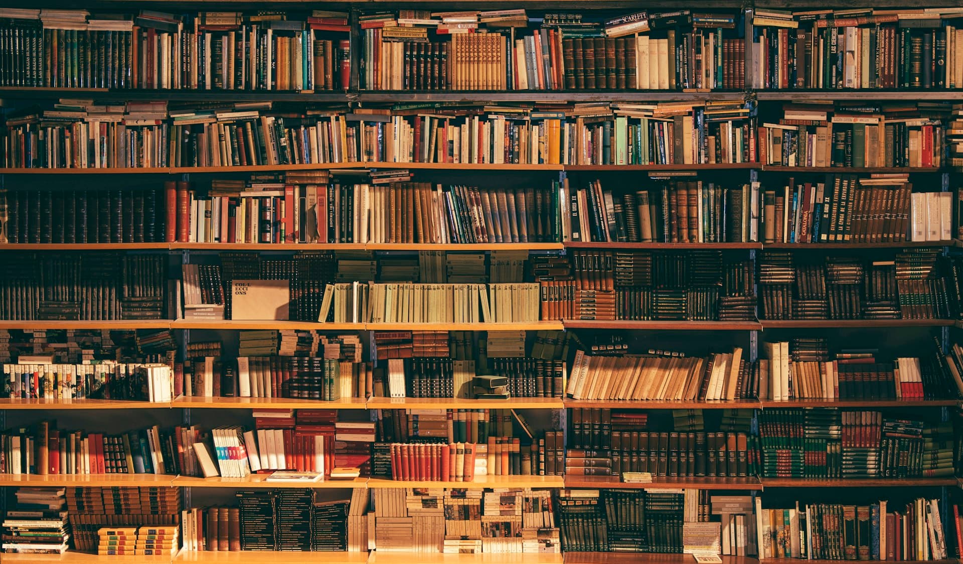 A wall of curated books